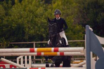 Fototapeta premium Equestrian sport - young girl rides on horse.