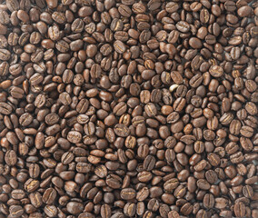coffee beans roasted from top view 