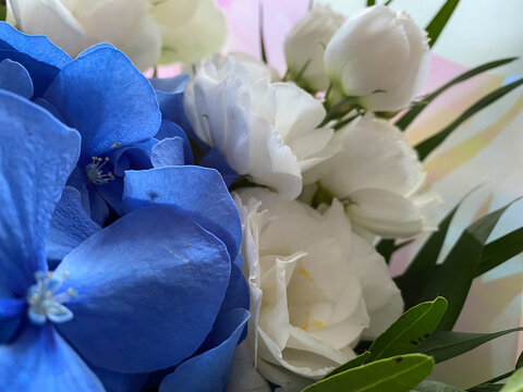bouquet of white and blue flowers
