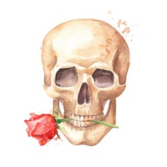 Obraz premium Hand drawn watercolor skull with red rose isolated on white background. 