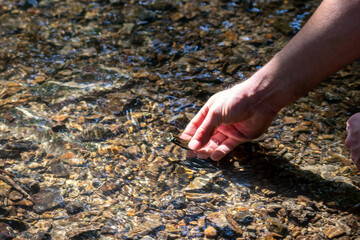 Male european hand refreshing in meditative zen atmosphere in a crystal clear water of a flat little creek with silky ripples and floating waves and sunny reflections searching for stones in the water