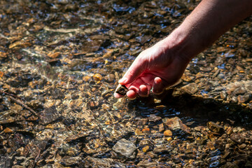 Male european hand refreshing in meditative zen atmosphere in a crystal clear water of a flat little creek with silky ripples and floating waves and sunny reflections searching for stones in the water