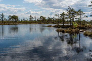 Forest lake with many islets on it. Wonderful natural landscape of the protected area - bogs. 