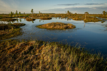 Riding swamp. A lake with small islands in the fall before sunset. Bog in Europe. 