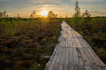 Fototapeta na wymiar Wooden footbridge on a raised bog at sunset. Wonderful natural landscape of the protected area.