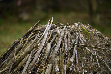 Carbonaia in Appennino