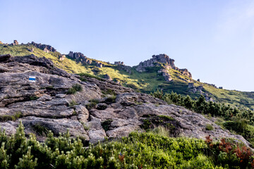 Great stones in the Carpathians