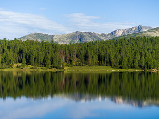 Fototapeta na wymiar Lake in the forest. Trees are reflected in clear calm water. Wildlife landscape