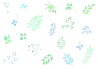 植物のパターン