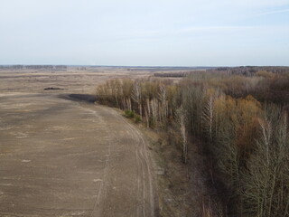 Agricultural field near the forest, aerial view. Landscape.