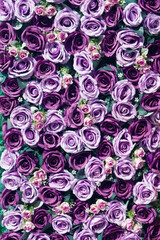 Paper roses  background image, a wall decorated with purple colorful flowers.