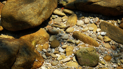 Stone reef beach background for decoration on natural theme concept.