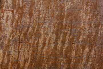 Desktop background,
wall,
Brick wall,
rusty wall,
texture,
grass,
stones,
crumpled paper,
grid,
material,
metal,
a rock,
brick,
concrete
