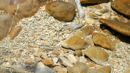 Stone reef beach background for decoration on natural theme concept.