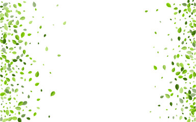 Forest Leaves Motion Vector Template. Spring Leaf 