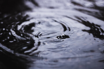 air bubble with waves in shallow depth of field on water after rain