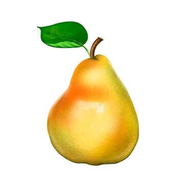 pear with leaf on the white background