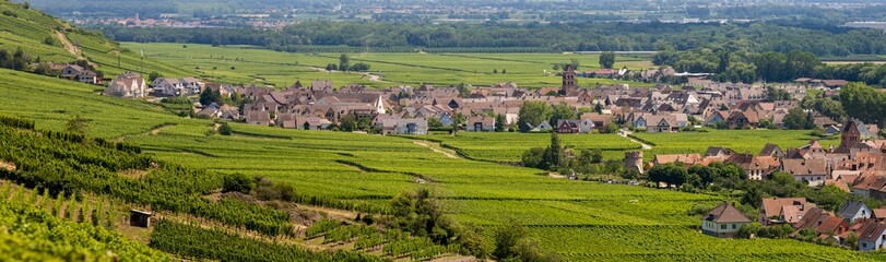 Fototapeta na wymiar L'ancien village de Sigolsheim, aujourd'hui Kaysersberg vignoble, Haut-Rhin, Alsace, Grand Est, France