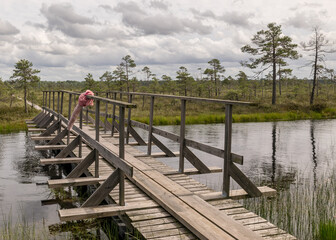 a wooden construction walking bridge in the middle of the swamp. View of the beautiful nature in the swamp - a pond, conifers, moss, clouds and reflections in the water. Nigula Nature Reserve Estonia