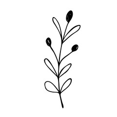Hand drawn abstract floral sprig silhouette. Black and white outline vector illustration. Decorative branches. Spring and summer leaf icon. Doodle style.