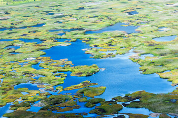 Rano Kau volcano crater and wetland, Honga Roa, Rapa Nui National Park, Easter Island, Chile, Unesco World Heritage Site