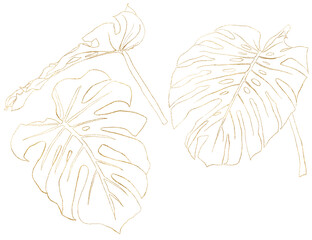 Watercolor tropical line art set with monstera golden branches. Hand painted jungle of palm leaves and twigs isolated on white background. Floral illustration for design, print or background. © yuliya_derbisheva