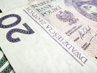 Nahaufnahme Geld Polnische Zloty PLN