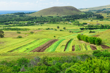 Obraz premium View over Easter Island taken from the Puna Pau crater, Rapa Nui National Park, Easter Island, Chile