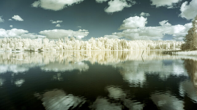 surreal landscape, lake with sky reflections, infrared photo snowy tree amazing nature lake reflection