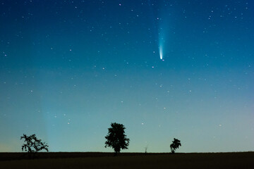 Fototapeta na wymiar Komet Neowise über Feld und Baum bei Nacht am Himmel