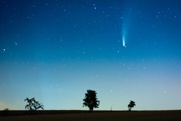 Obraz na płótnie Canvas Komet Neowise am Himmel bei Nacht über Feld mit Bäumen