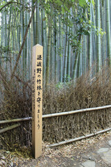 Pilar signage in Japanese words as Sagano Bamboo Forest in Arashiyama, Kyoto, Japan