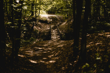 wąwóz, mostek, cienie i blaski 