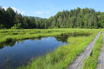 豊かな自然。美しい透き通る水。