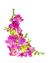 Pink and yellow freesia flowers in a corner arrangement