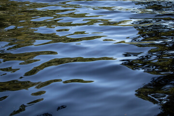 Reflections in the waves of deep black river water