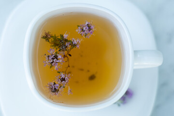 herbal tea. Tea with thyme. Tea with a teacup. White background. Close up. Space for text. Postcard.