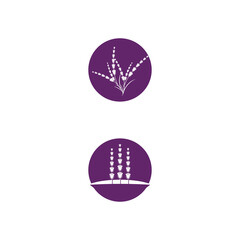 Lavender Logo Template vector symbol