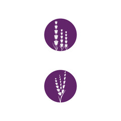 Lavender Logo Template vector symbol