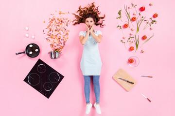 Top above high angle view full body photo of astonished girl prepare fresh tasty delicious menu impressed touch hands face flat lay isolated over pastel color background