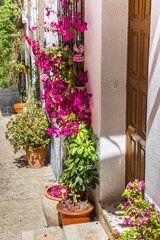 Fototapeta na wymiar Flowers at the entrance of a traditional white house in Zahara, Spain