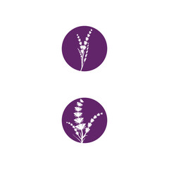 Lavender Logo Template vector symbol