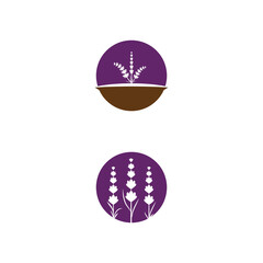 Lavender Logo Template vector symbol
