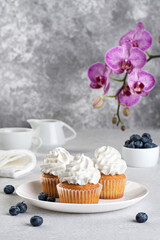 Cupcakes with cream and blueberries on a gray background.