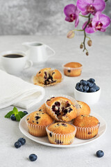 Cupcakes stuffed with blueberries on a gray background.