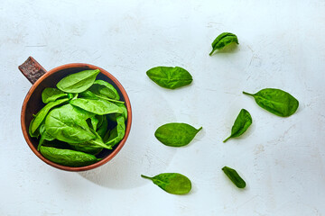 Spinach in the bowl on the white background. Washed fresh mini spinach, green grass, vitamins salad.