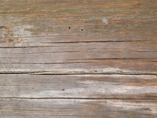 Tree trunk with no bark