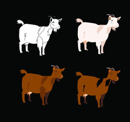 vector illustration of goats of different colors