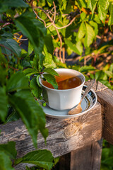White porcelain tea cup on the wooden balcony with green wild grapes background. Warm healthy herbal drink. Natural beverages wallpaper. Hot brewed tea on fresh air. Cozy home weekend breakfast.