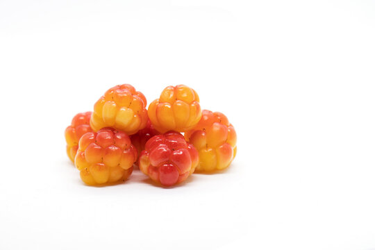 Cloudberry ripe berries close up isolated on white background. 
